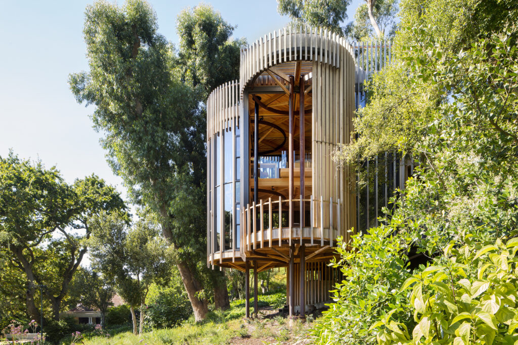 Malan Vorster Architecture - TreeHouse (CapeTown, Southafrica)